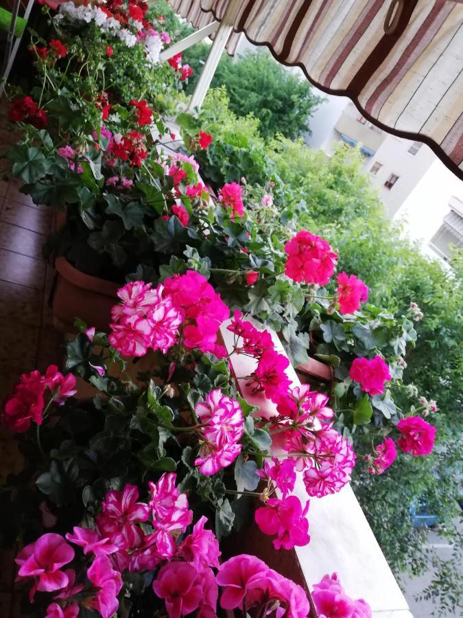 B&B Casa Mia アルゲーロ エクステリア 写真